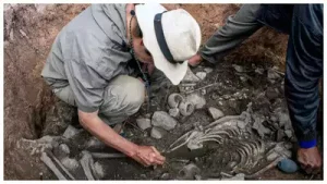 Archaeologists unearth 3,000 year-old tomb of religious importance in Peru
