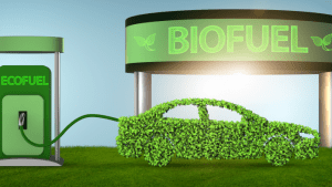 World Biofuel Day: Exploring India's journey towards a greener path