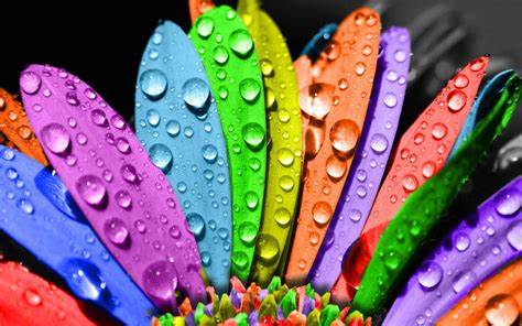 Diving into the Rainbow: Know how colors shape personality & perception