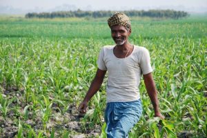 World’s Largest Grain Storage Plan to empower farmers