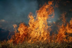 Wildfire in Spanish tourist island of Tenerife deliberate, state officials