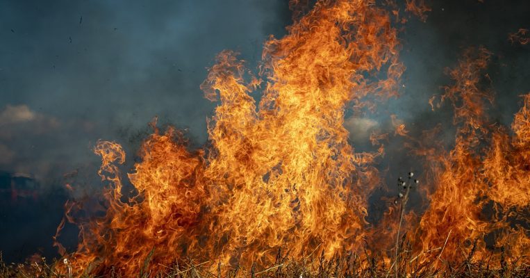 Growing catastrophe of unchecked climate change being seen globally in wildfires
