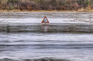 Floods in China's northeast raise concerns of crop diseases and infestation