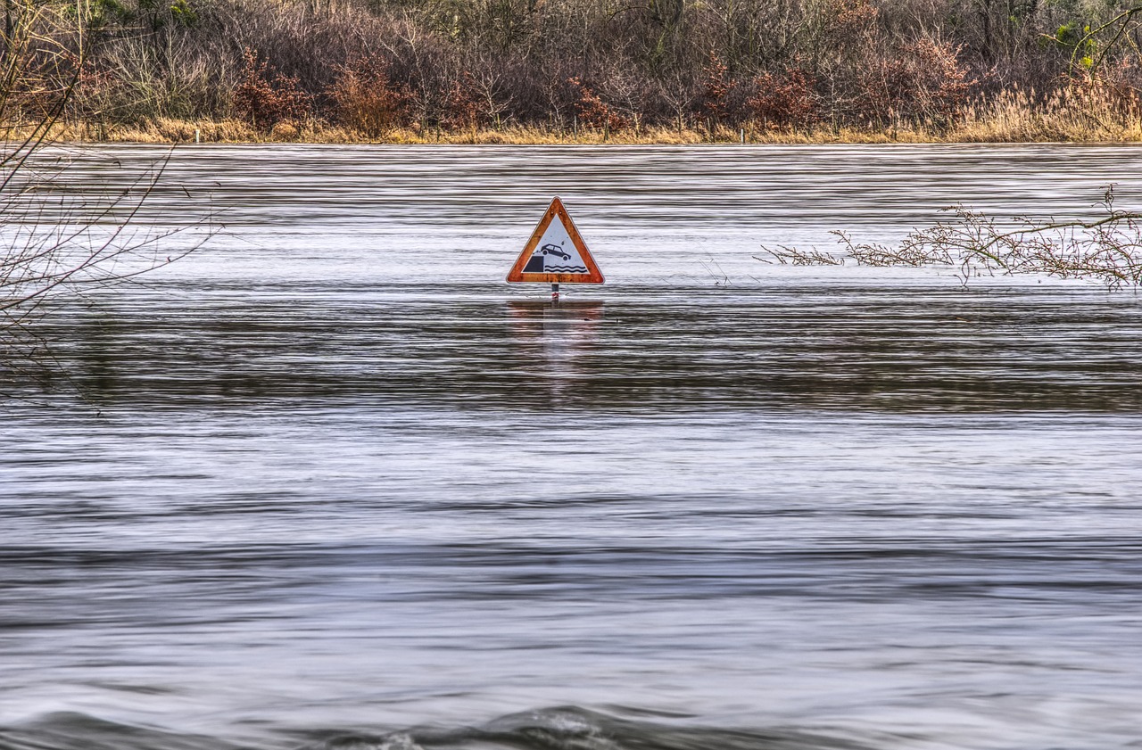 Floods in China’s northeast raise concerns of crop diseases and infestation