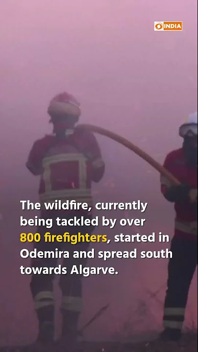 wildfire
