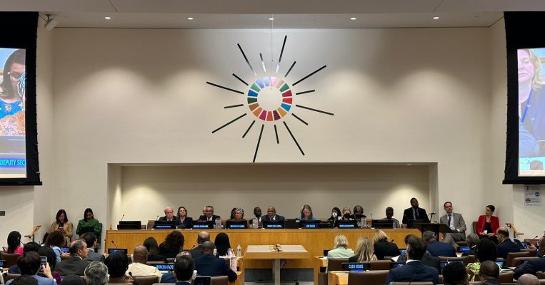 UN General Assembly reviewing Global Health Initiatives and Commitments