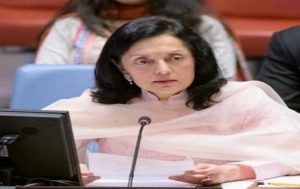India calls for expansion of permanent and non-permanent categories of UNSC membership