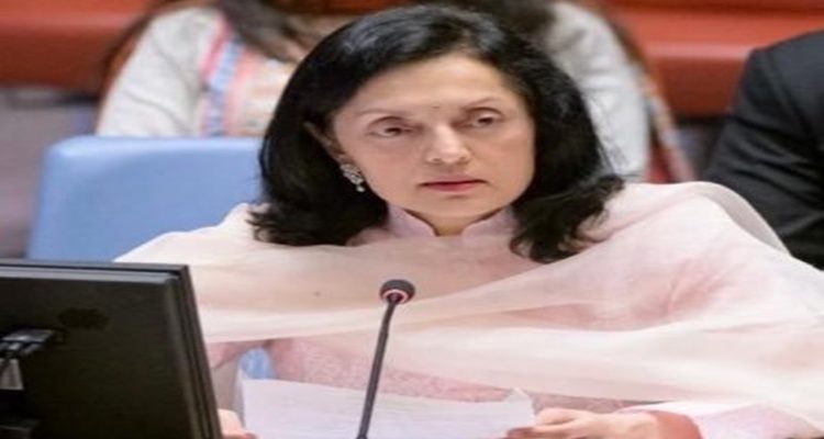 India calls for expansion of permanent and non-permanent categories of UNSC membership