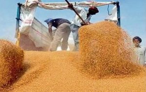 India fast turning food loss challenges into opportunities: FAO