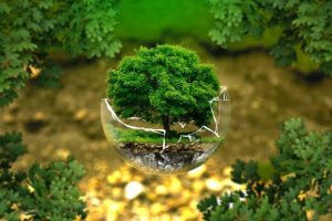 Advancing nature-positive agriculture through sustainable solutions