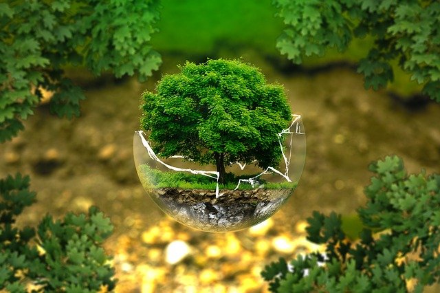 Advancing nature-positive agriculture through sustainable solutions