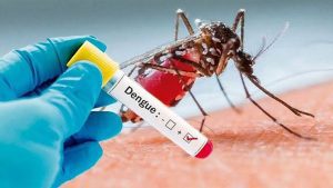 Dengue death toll crosses 1000-mark in Bangladesh
