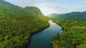 Switzerland, US donate $8 million to Brazil's fund to fight Amazon deforestation