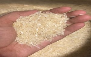 India allows export of 95,000 tonnes of non-basmati rice to Nepal