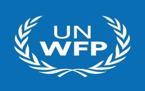 'Bureaucracy is insane', U.N. World Food program’s chief on checks for Gaza aid