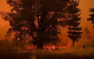 Thousands evacuated on Spain's Tenerife as summer wildfire re-ignites