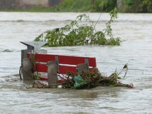Weather-related disasters risk children of displacement, approx 20,000 children displaced in a day