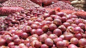 Onion prices dip after Centre imposes export curbs