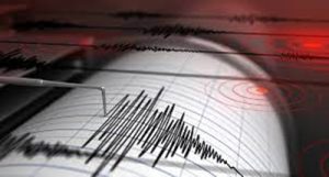 Assam's Dhubri struck by 3.1 magnitude earthquake