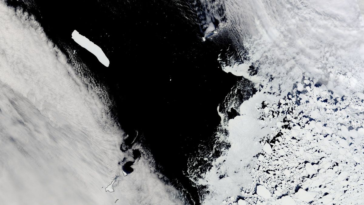 World’s largest iceberg breaks free, heads toward Southern Ocean