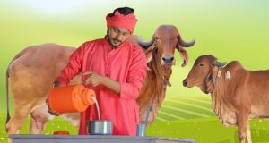 National Milk Day 2023: National Gopal Ratna Awards to be conferred on November 26