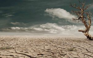 What's the plan for this year's COP28 climate summit?
