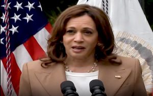 U.S. Vice President Kamala Harris calls for action on "full spectrum" of AI risks