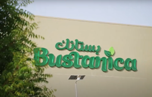 UAE's pioneering Bustanica vertical farm gears up for COP28, showcasing green initiatives