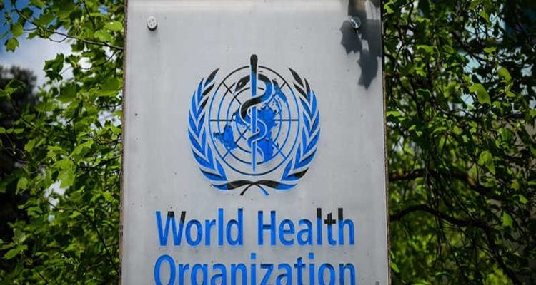 Disease could be bigger killer than bombs in Gaza – WHO