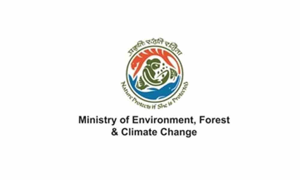 Environment ministry launches forest and wood certification scheme for sustainable forestry practices