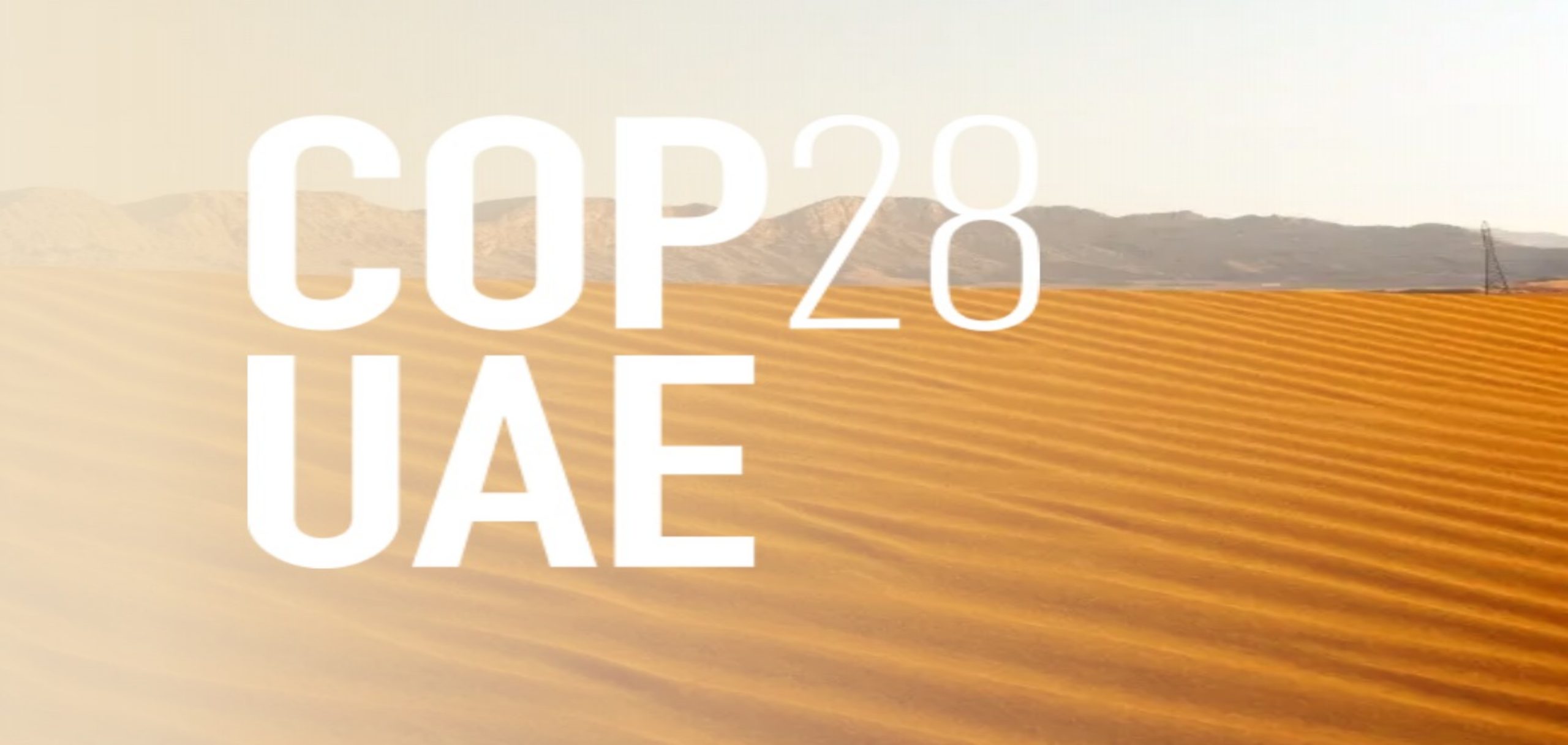 UAE Commits Record $30 Billion to at World Climate Action Summit, at COP28