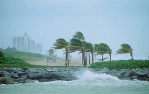 Cyclone Michaung hits southern India, at least eight dead in Chennai