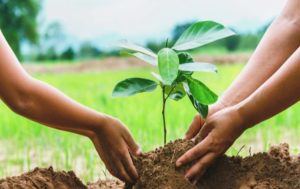 Centre consolidates soil health initiatives for enhanced agricultural productivity