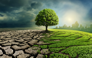 India enhances weather forecasting with AI amid rising floods and droughts