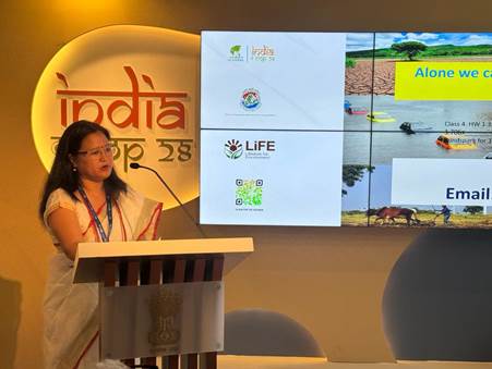 COP28: India pavilion addresses climate change vulnerability in the Himalayan region