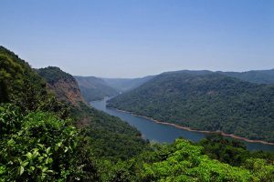 Centre says committed to protecting Western Ghats, India's ecological jewel