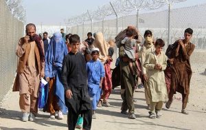 Over 500,000 Afghan immigrants repatriated so far, says Pak Interior Ministry