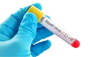 Oxford starts human testing of Nipah virus vaccine