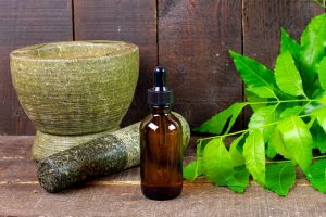 WHO launches Traditional Medicine Morbidity codes comprising of 529 codes