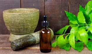 Ayurveda charts global growth path with focus on evidence, quality and innovation