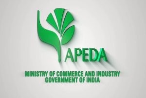 APEDA organises more than 27 flag offs in FY23-24 to promote export