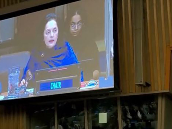 India chairs 62nd Session of Commission for Social Development, adopts four resolutions
