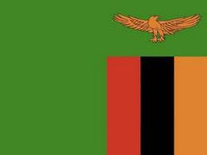 India sends 3.5-ton medical aid to Zambia amid cholera outbreak