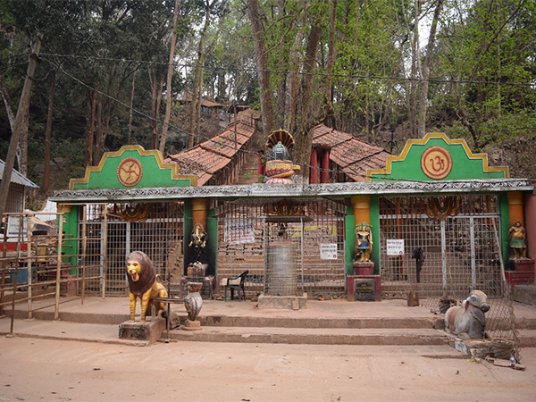 Gupteswar forest designated as fourth biodiversity heritage site in Odisha