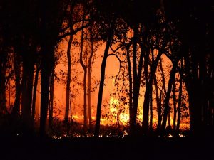 Deadly wildfires ravage Chile, 112 lives lost, many missing