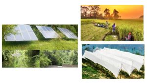 Over 2.95 lakh solar water pumps installed under PM-KUSUM scheme: Union Minister RK Singh
