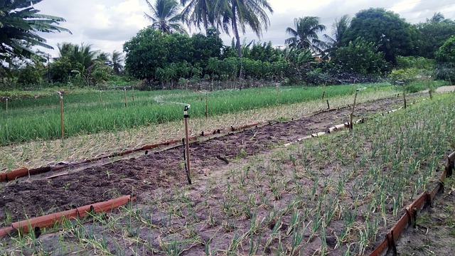 NITI Aayog launches GROW initiative to transform India’s wastelands through agroforestry