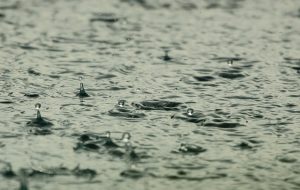 IMD predicts more rain in parts of Delhi, NCR