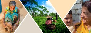 NITI Aayog launches 'Vocal for Local' initiative to promote grassroots entrepreneurship