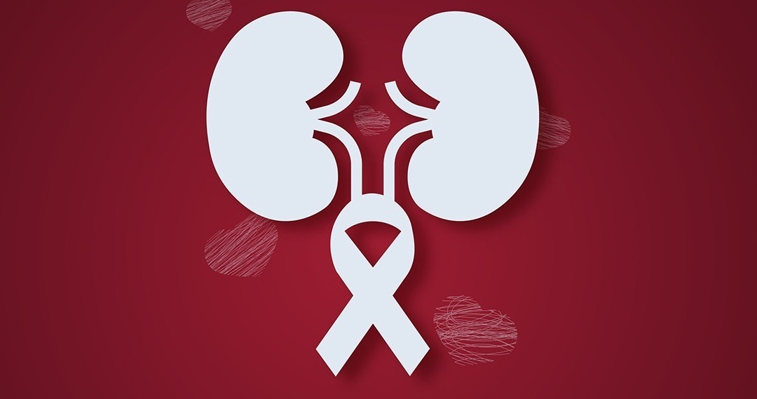 World Kidney Day 2024: Raising awareness to achieve kidney health for all